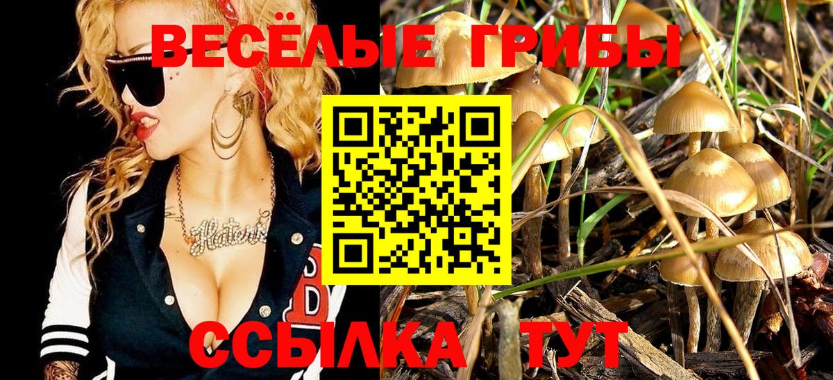 Псилоцибиновые грибы прущие грибы  где можно купить   Соль-Илецк  Вход с VPN 